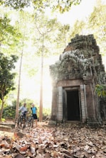 a group of people riding bikes through a forest