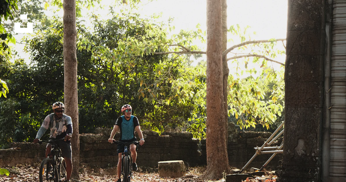A couple of people riding bikes through a forest photo – Free Bicycle ...