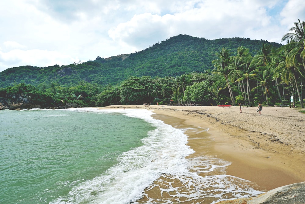 a sandy beach next to a lush green forest covered mountain