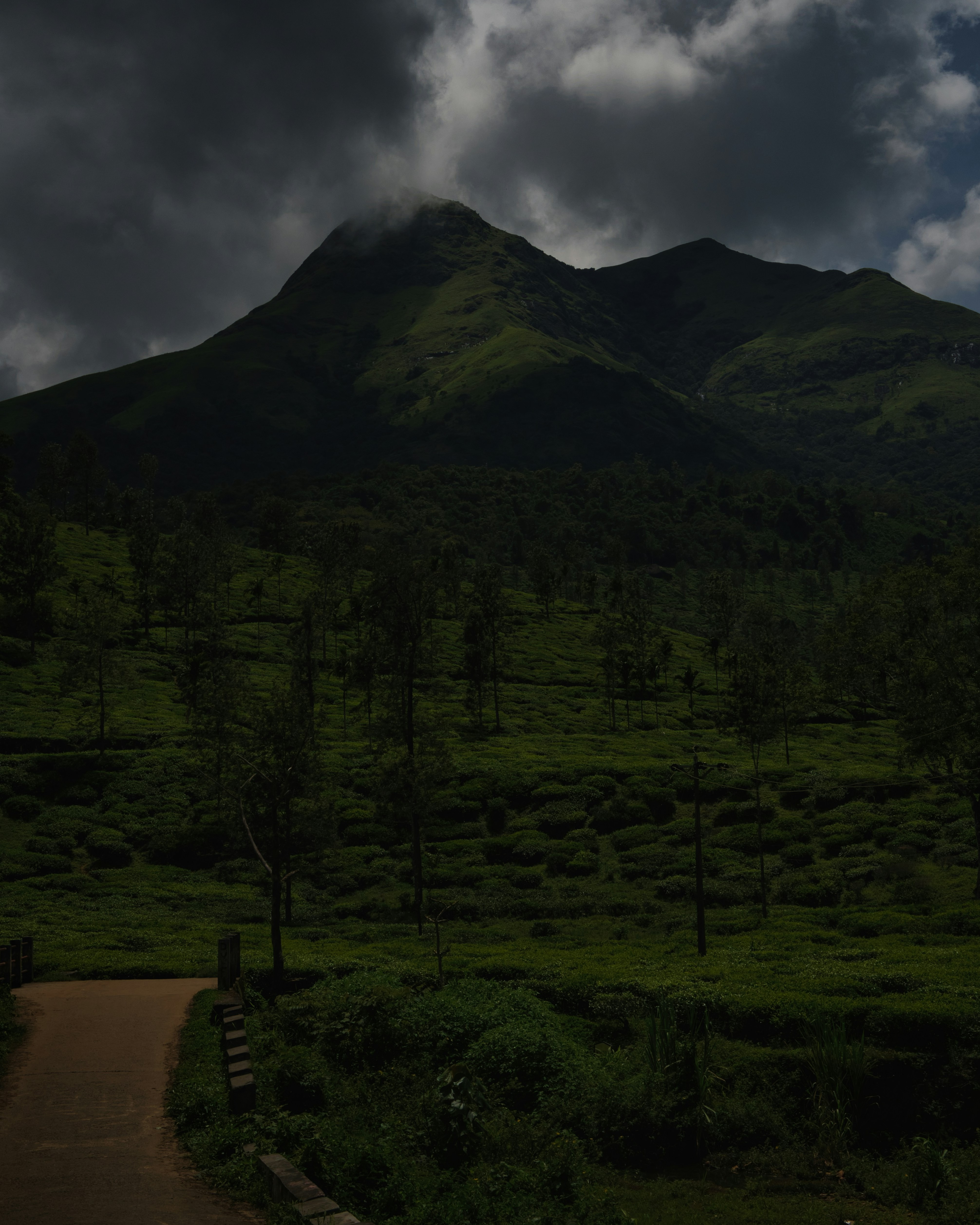Khubi Kumar (@khubikumar) | Komunitas Foto Unsplash