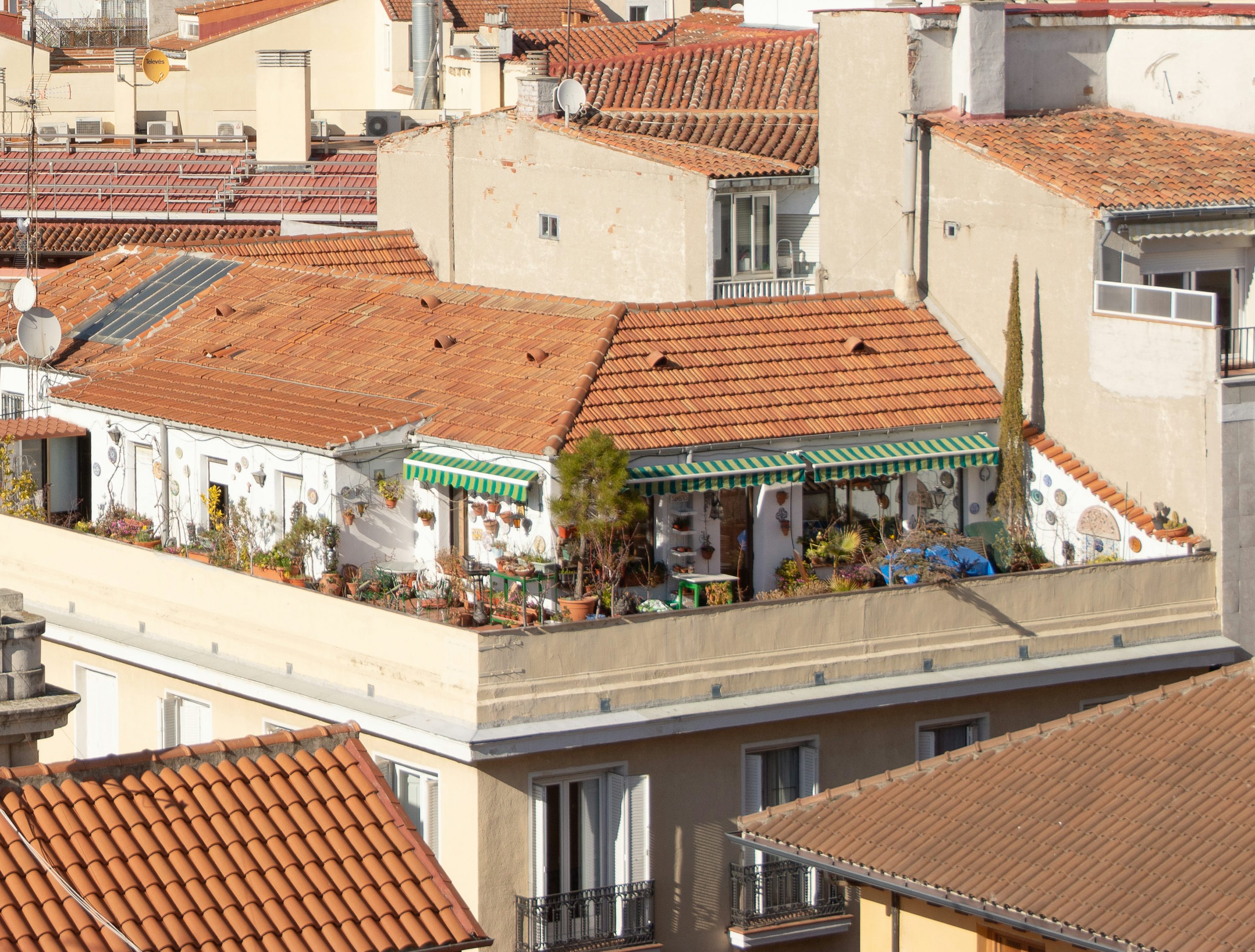 A rooftop garden on a building in a city.