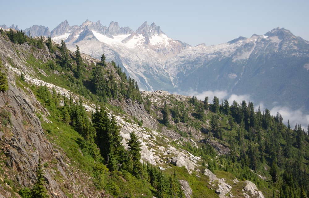 a view of a mountain range with trees and mountains in the background