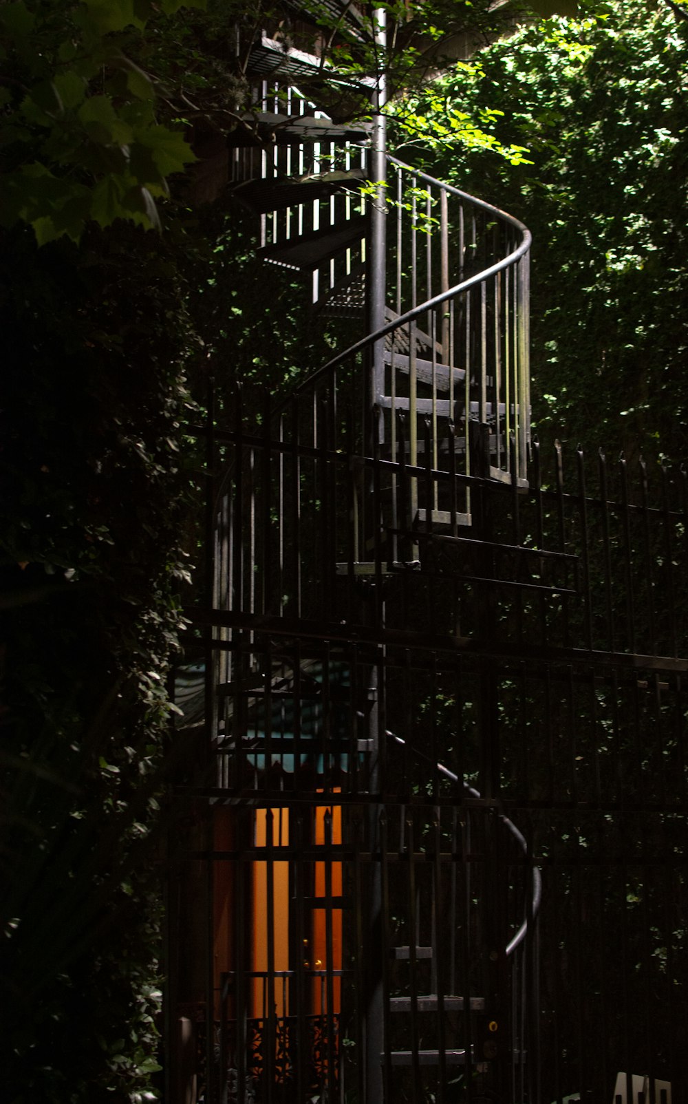 a spiral staircase in the middle of a forest