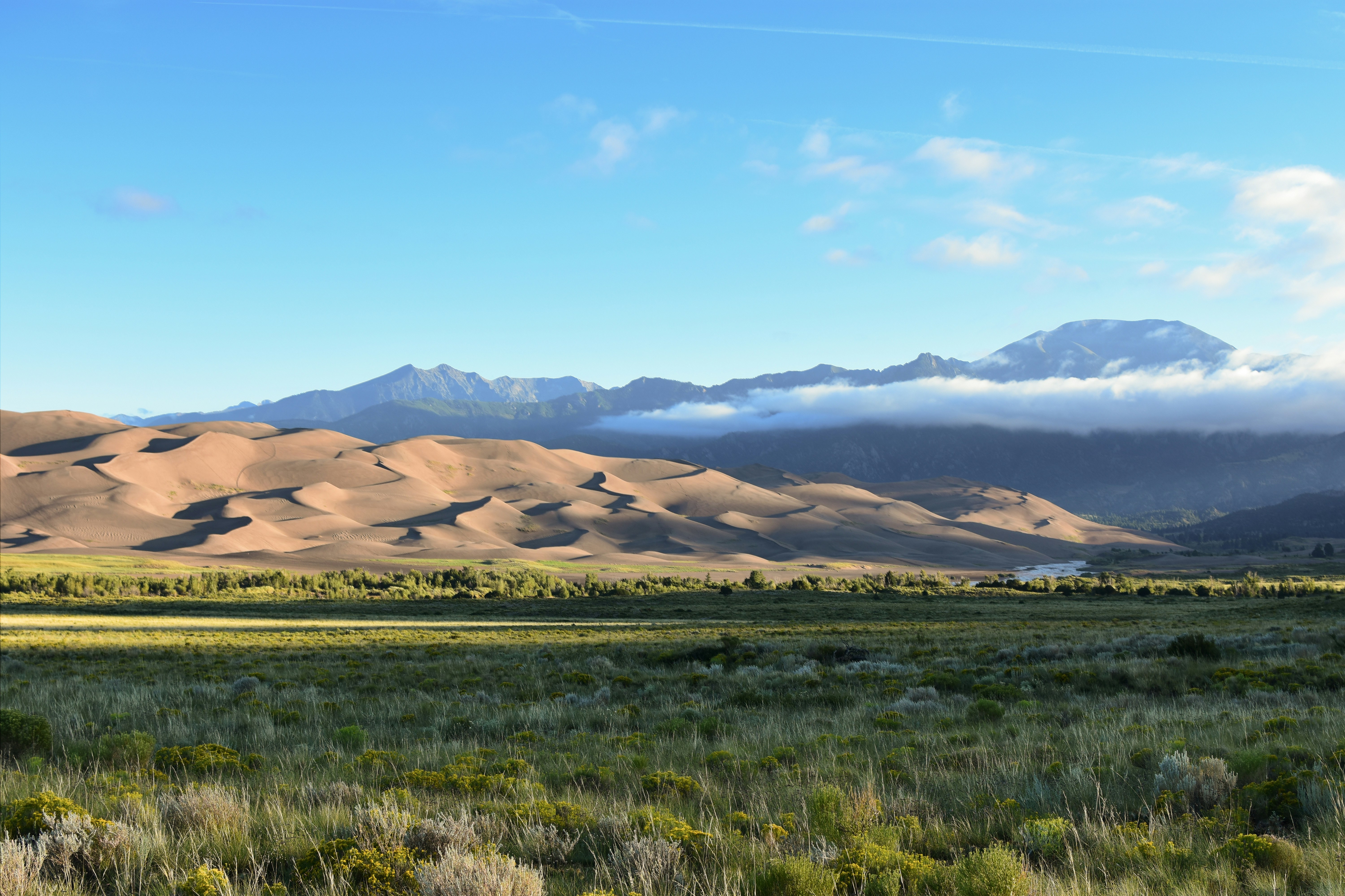 Photo by alexmoliski