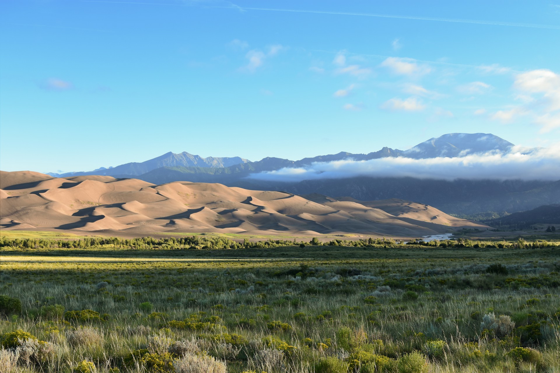 A grassy field with mountains in the background