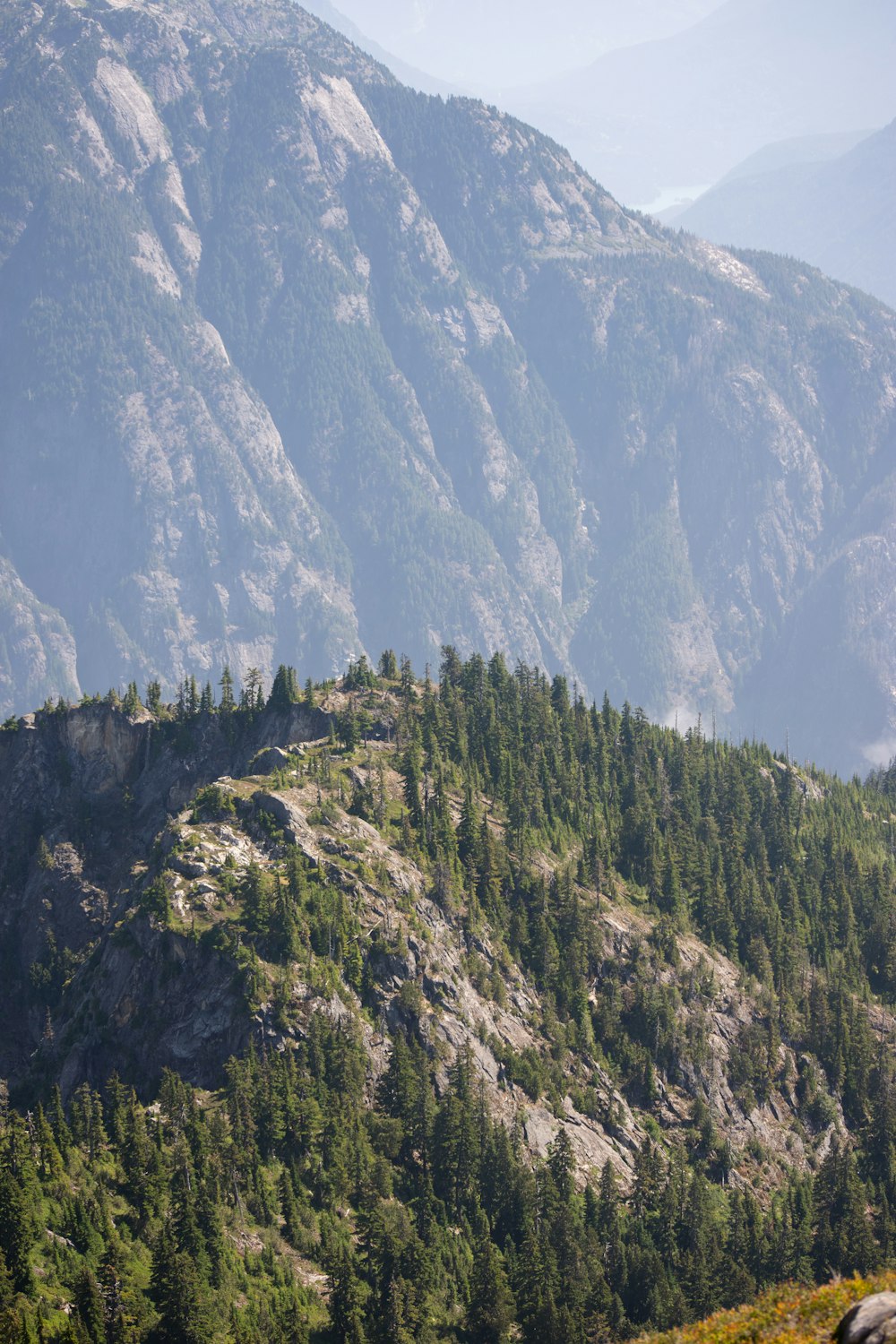 a view of a mountain with trees on it