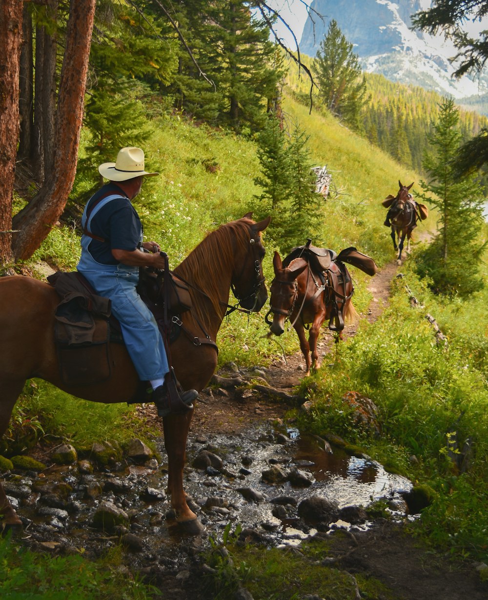 a man riding on the back of a brown horse