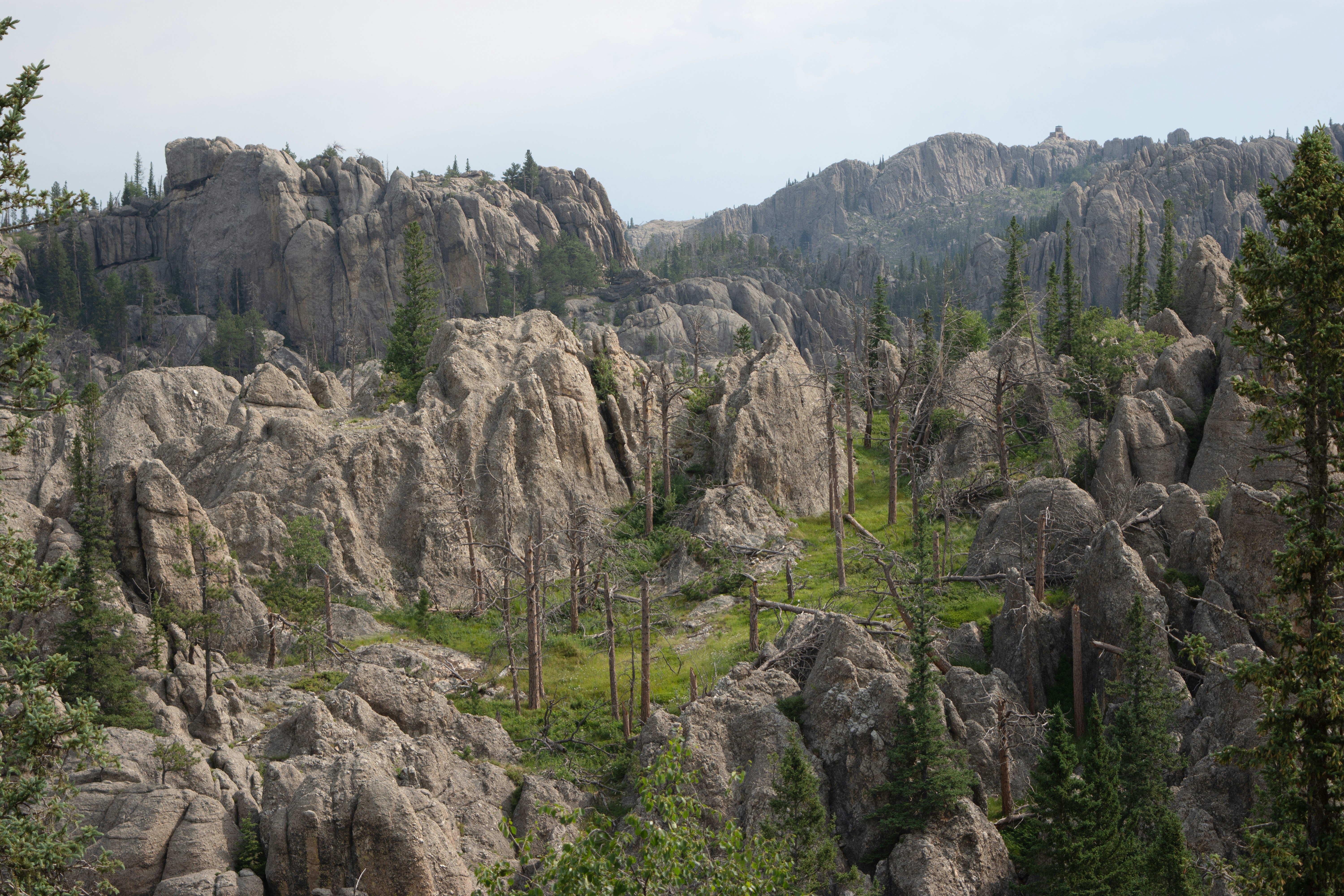 A view of a rocky mountain with trees in the foreground