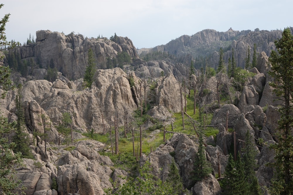 a view of a rocky mountain with trees in the foreground