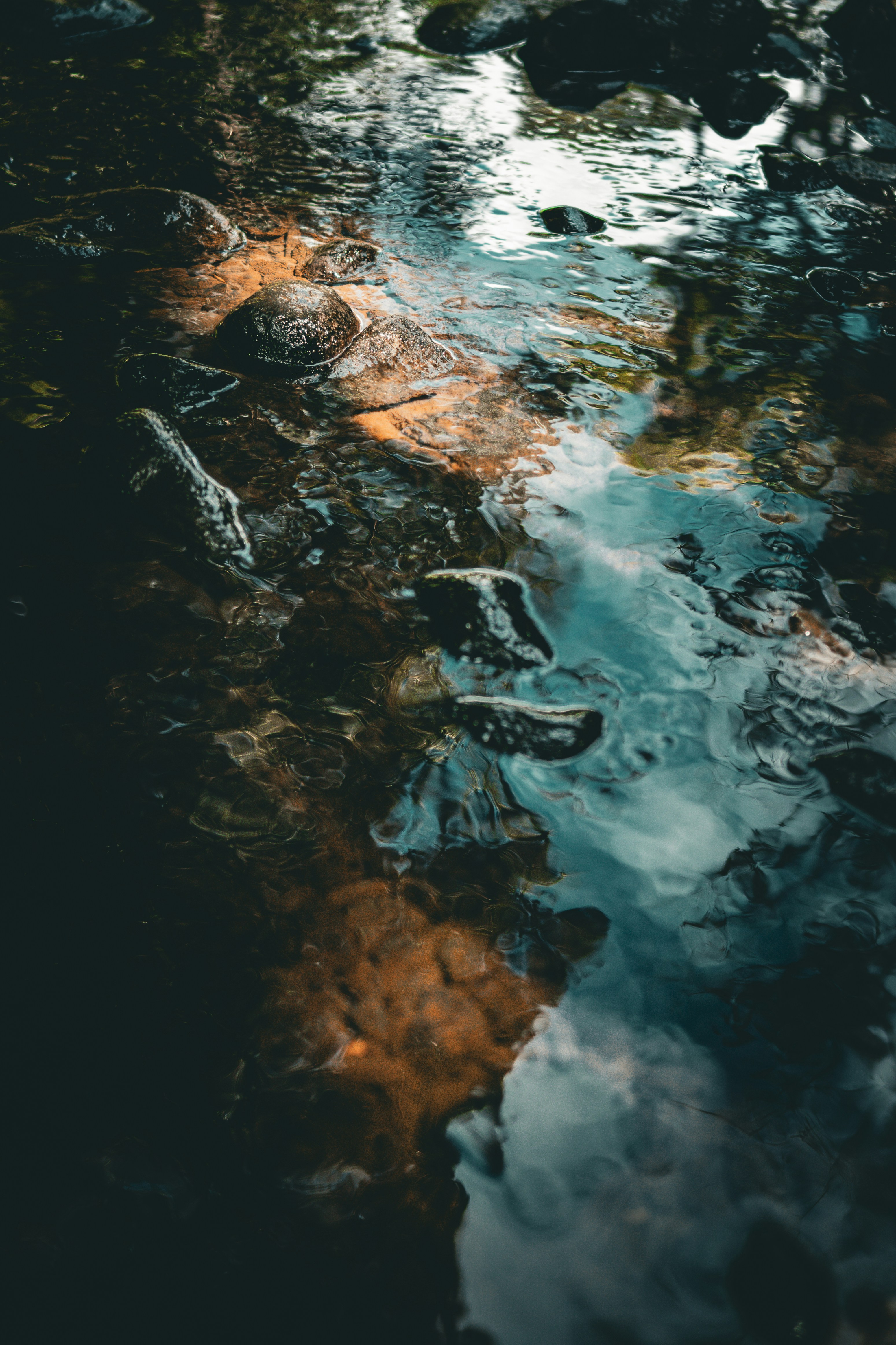 Photo by metalpsychologist