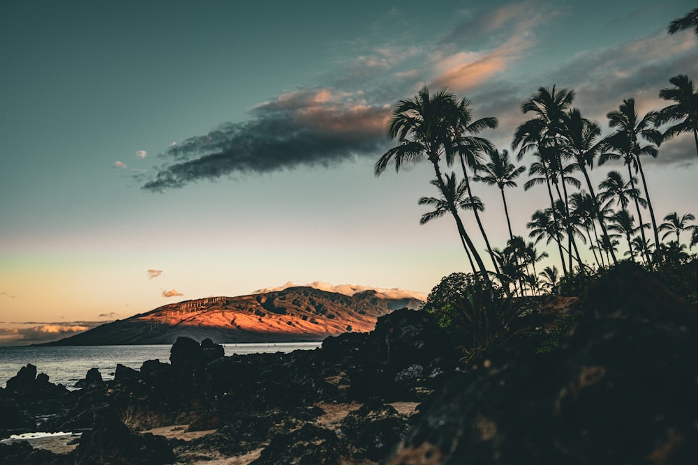 a beautiful sunset with palm trees and a mountain in the background