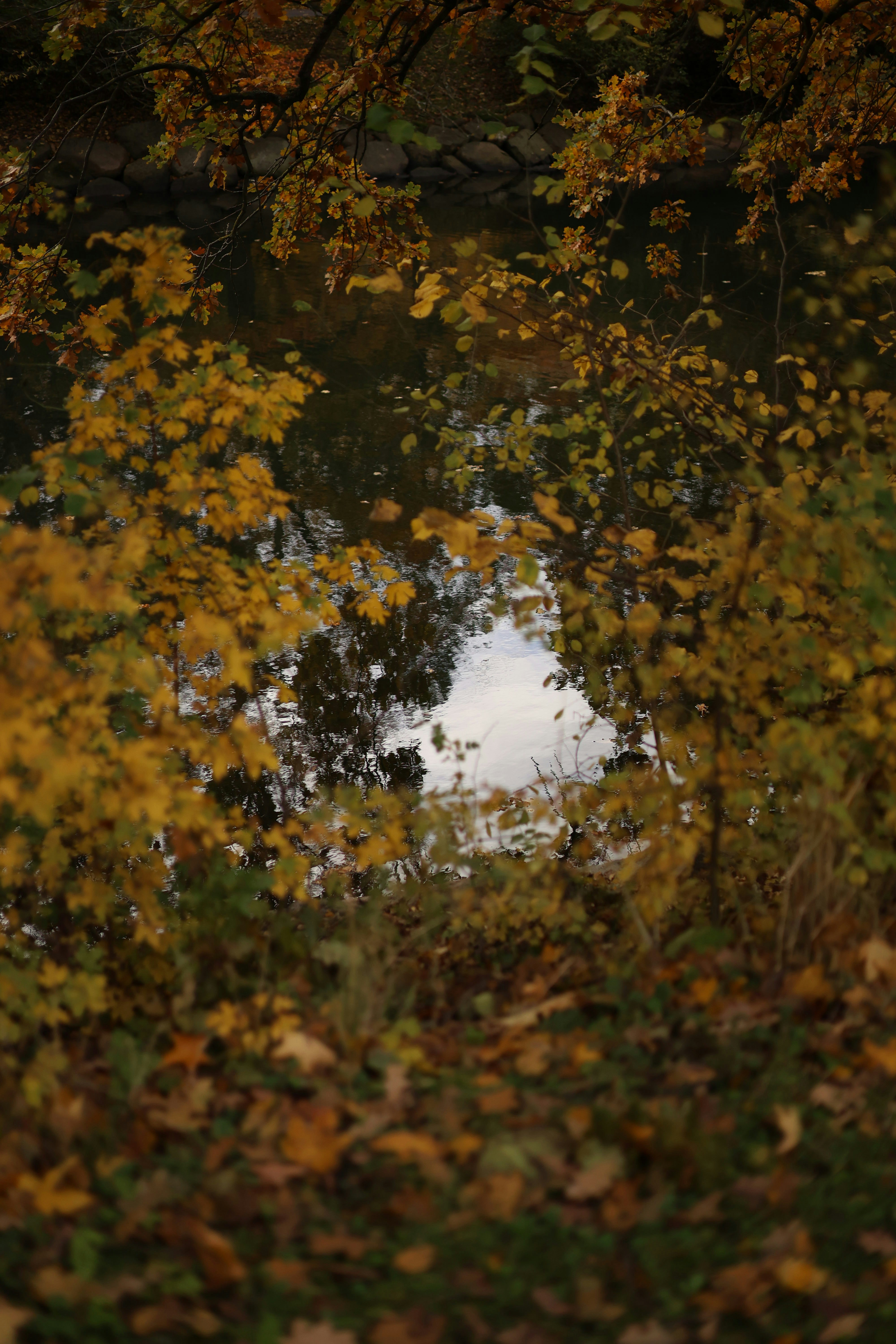 Photo by orlandodeluca