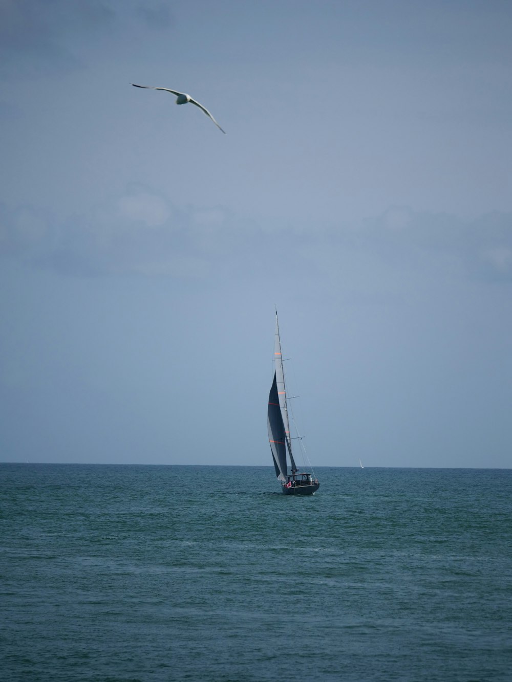 a sailboat in the middle of the ocean