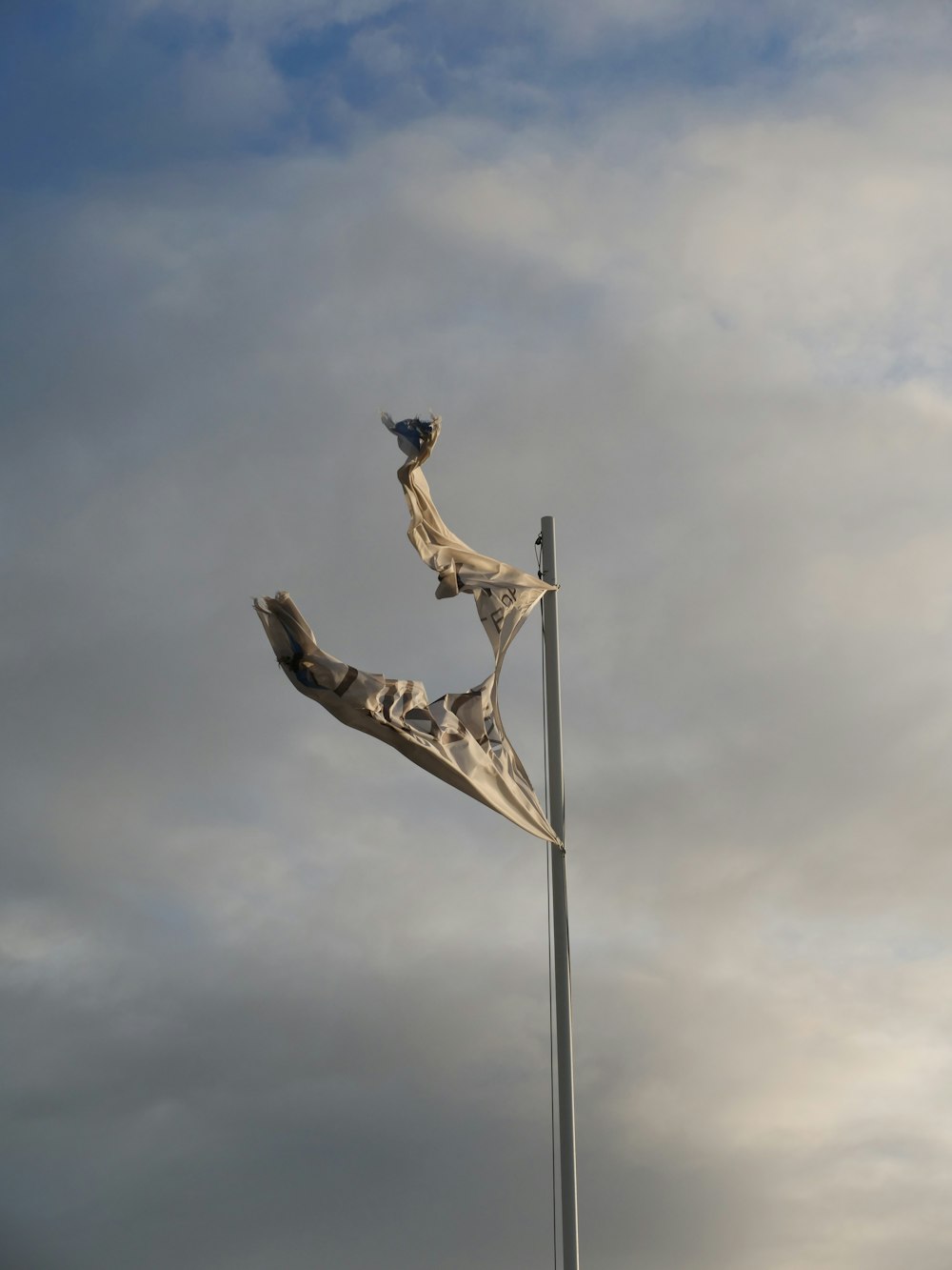 two giraffes on a pole with a cloudy sky in the background