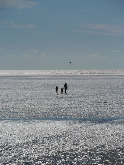 Vacances en famille à Aytré