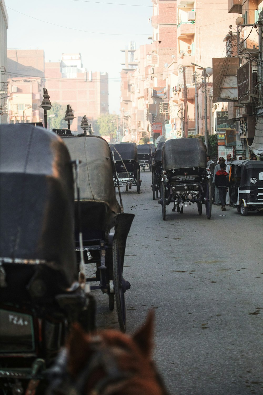 a horse drawn carriage on a city street