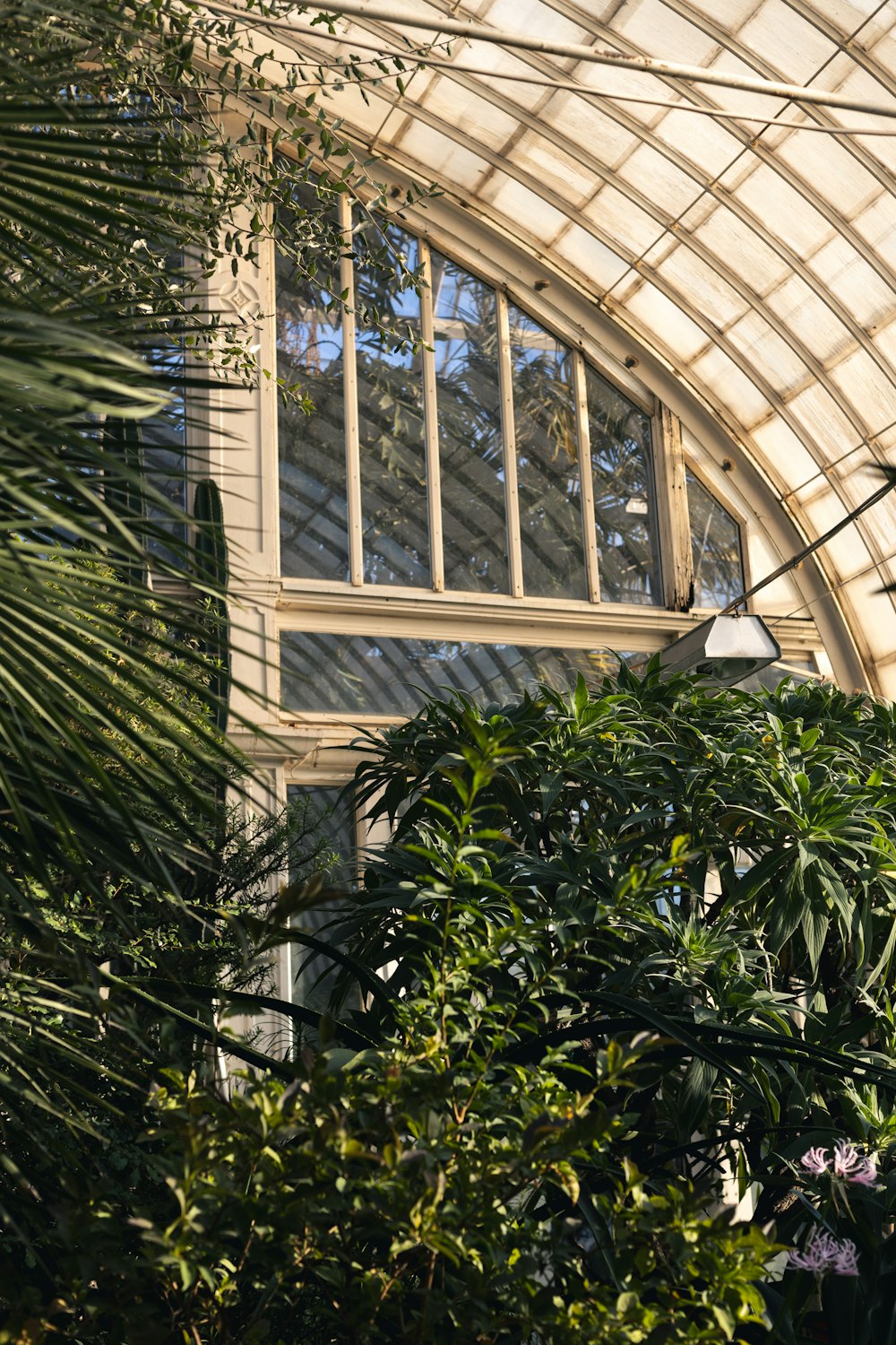 a building with a glass roof and a clock on the side of it