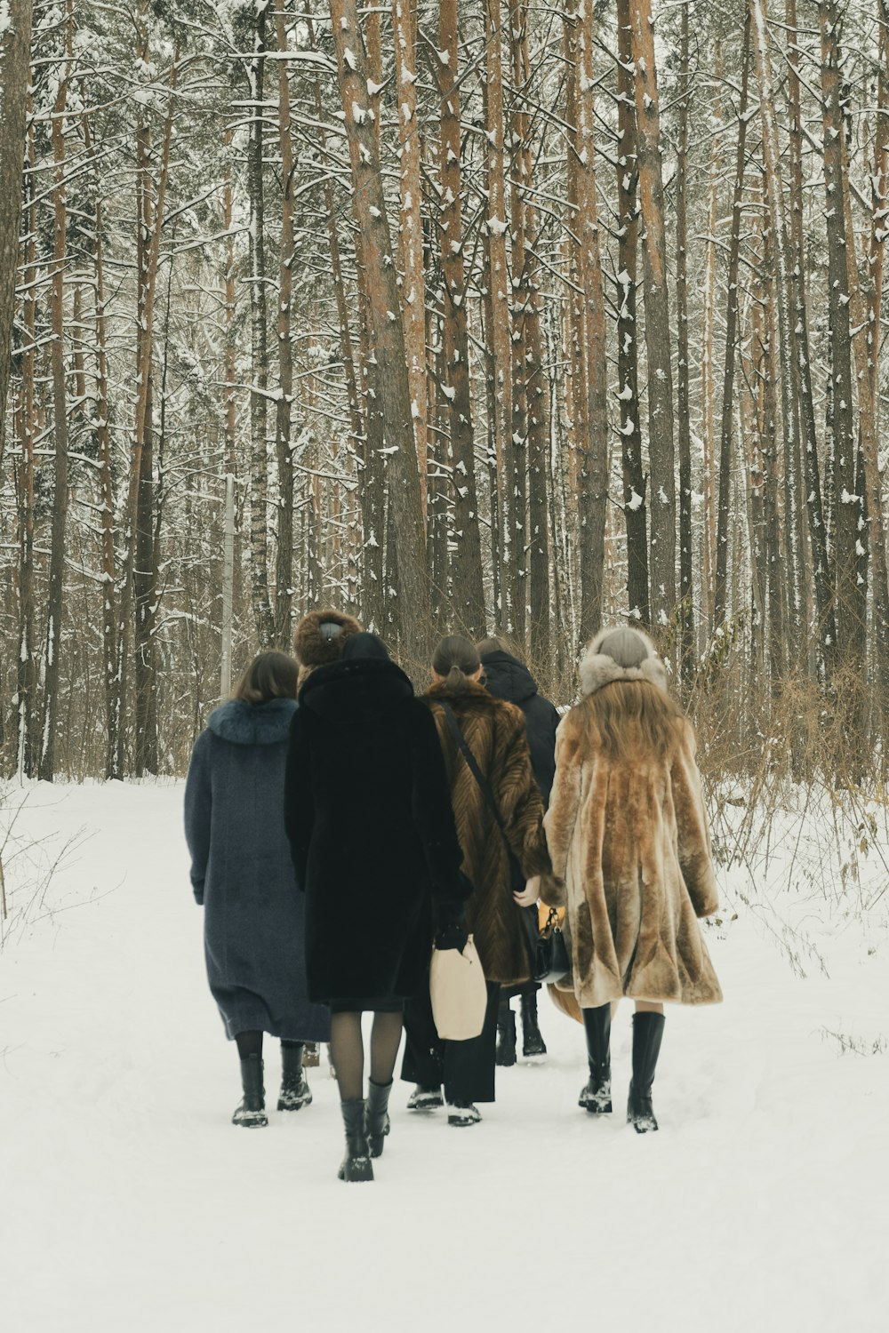 a group of people walking through a snow covered forest