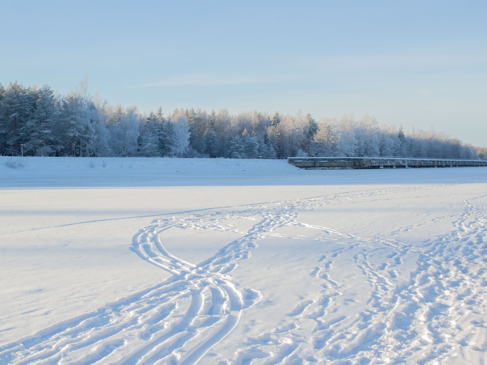 a person riding skis on a snowy surface