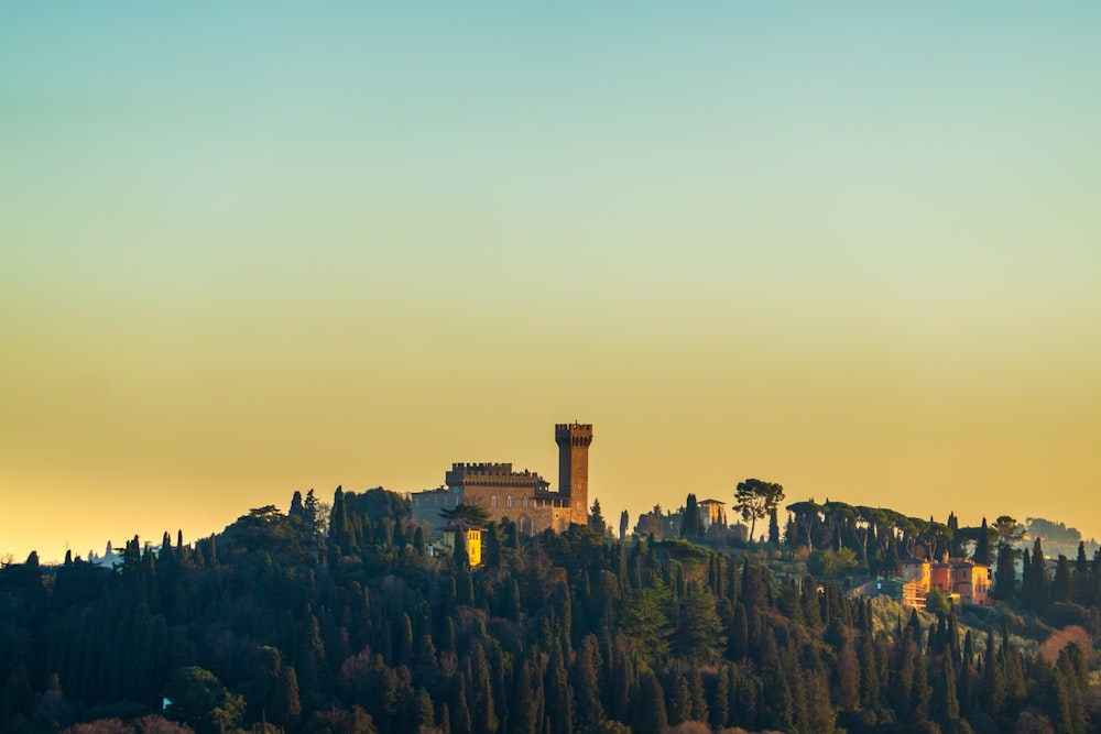 a castle on top of a hill surrounded by trees