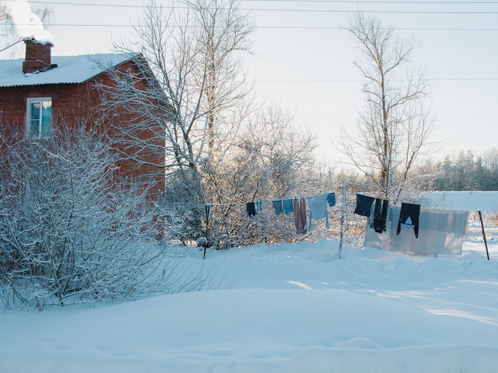 clothes hanging out to dry in the snow