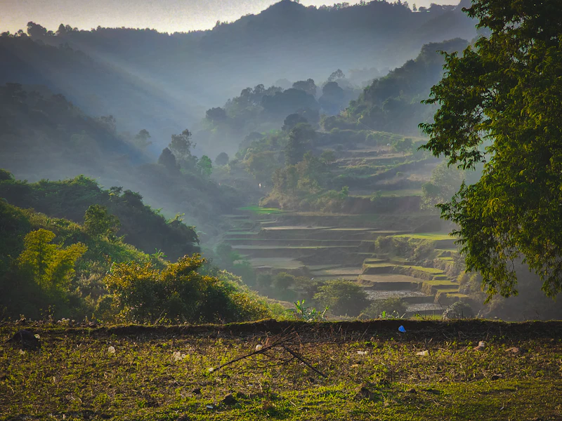 Misty green hills of Araku Valley