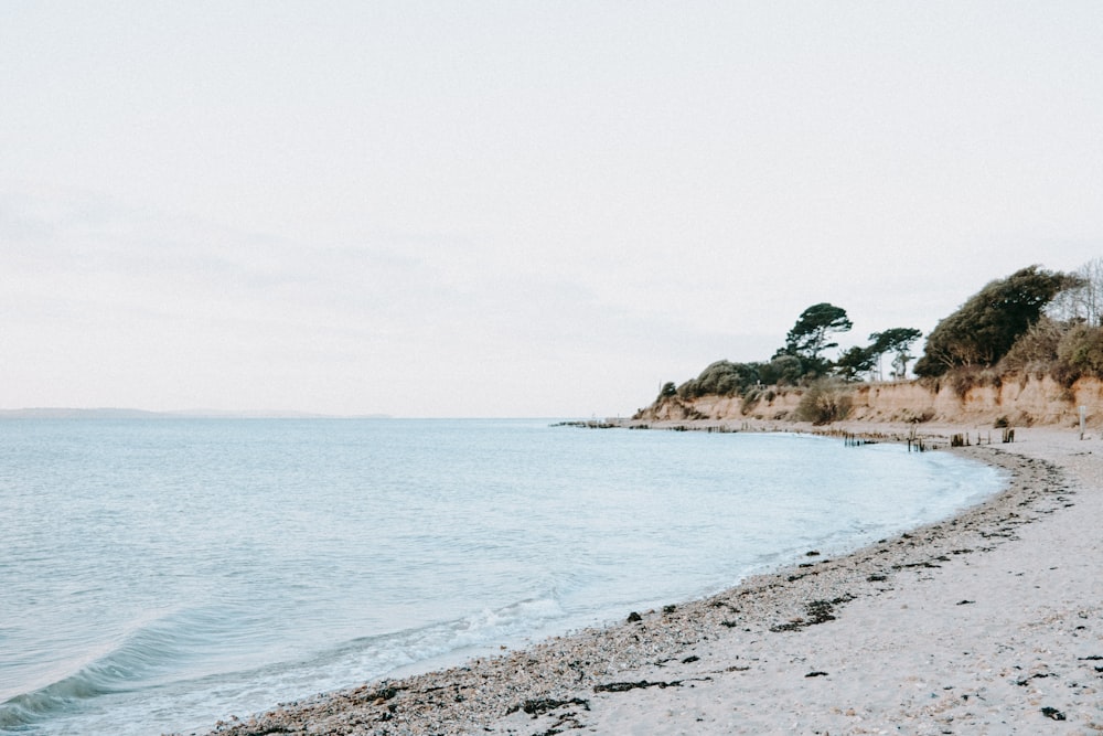 a beach with a few people walking on it