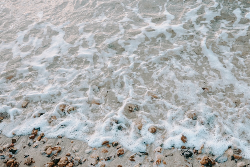 une plage de sable recouverte de beaucoup d’eau mousseuse