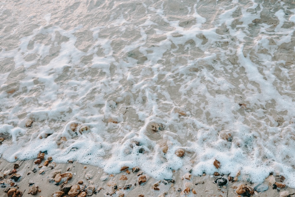 a sandy beach covered in lots of foamy water