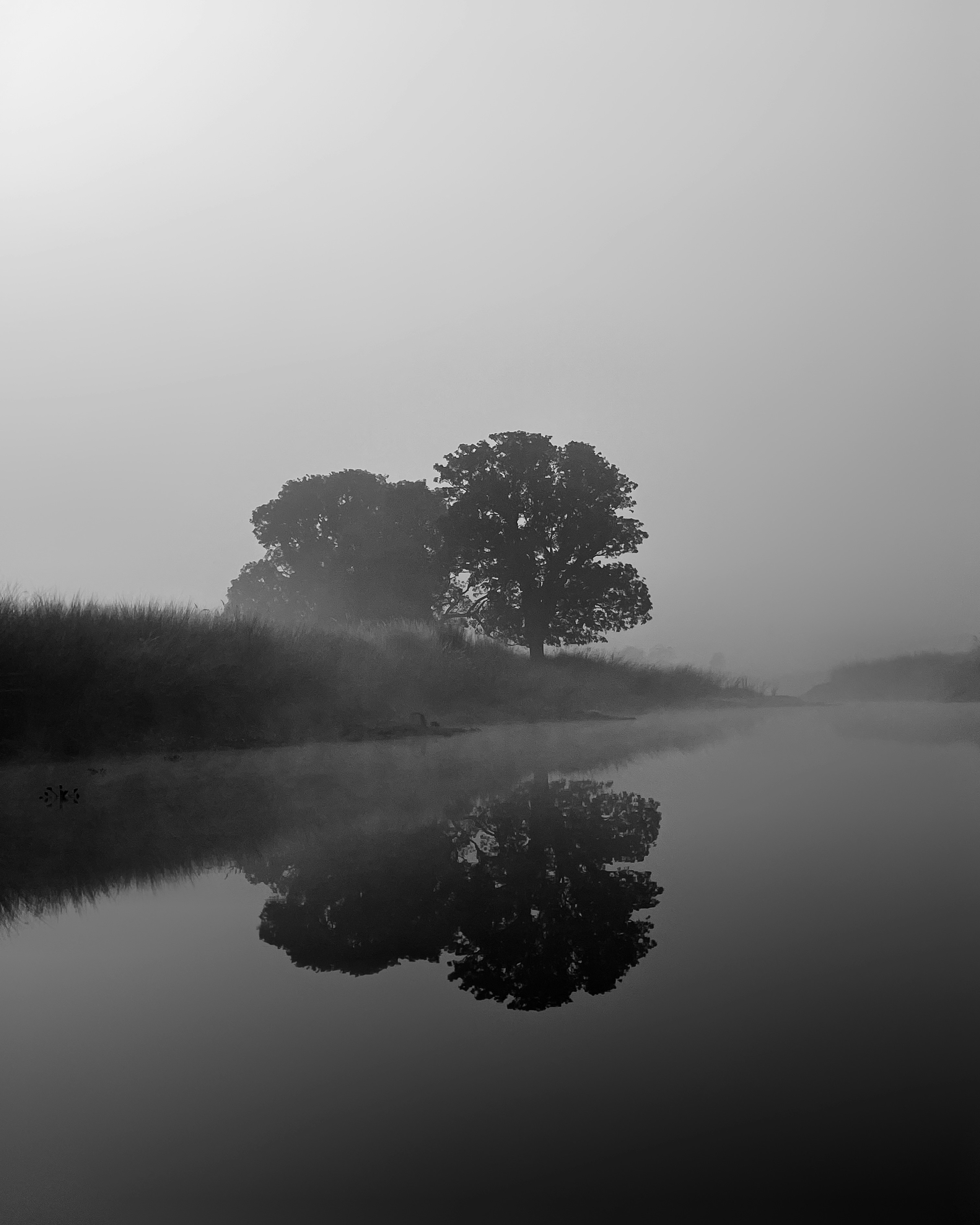 Photo by arpitsuryawanshii