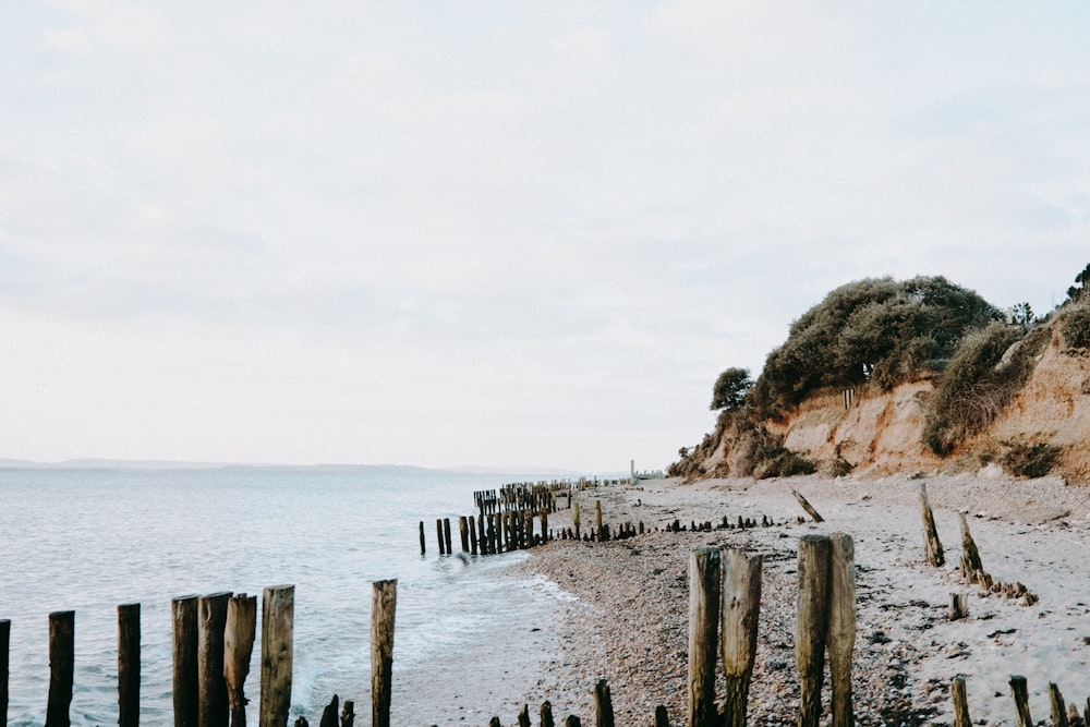 a sandy beach next to a body of water