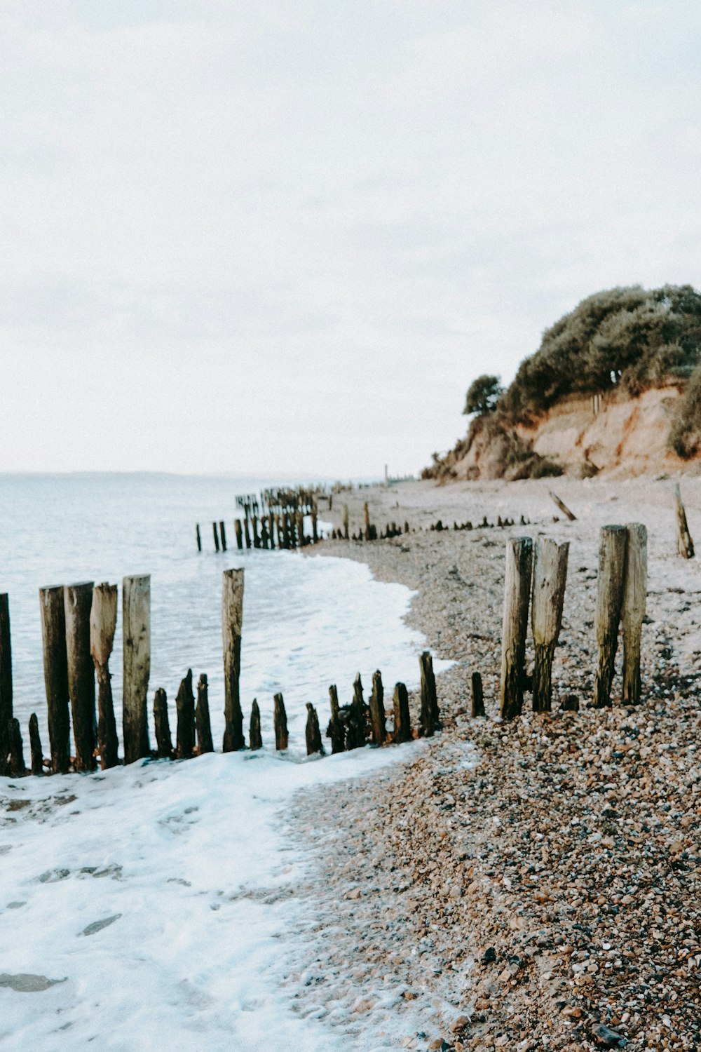 una spiaggia con un mucchio di pali di legno che spuntano dalla sabbia