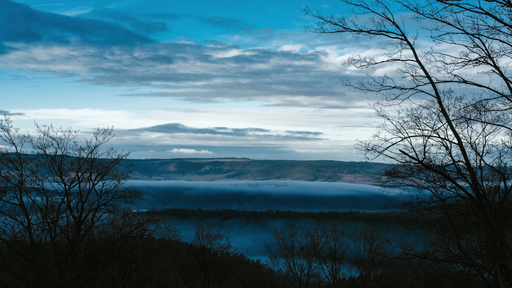 a blue sky with clouds and trees in the foreground