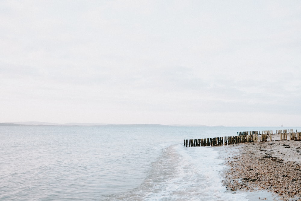 a beach next to a body of water