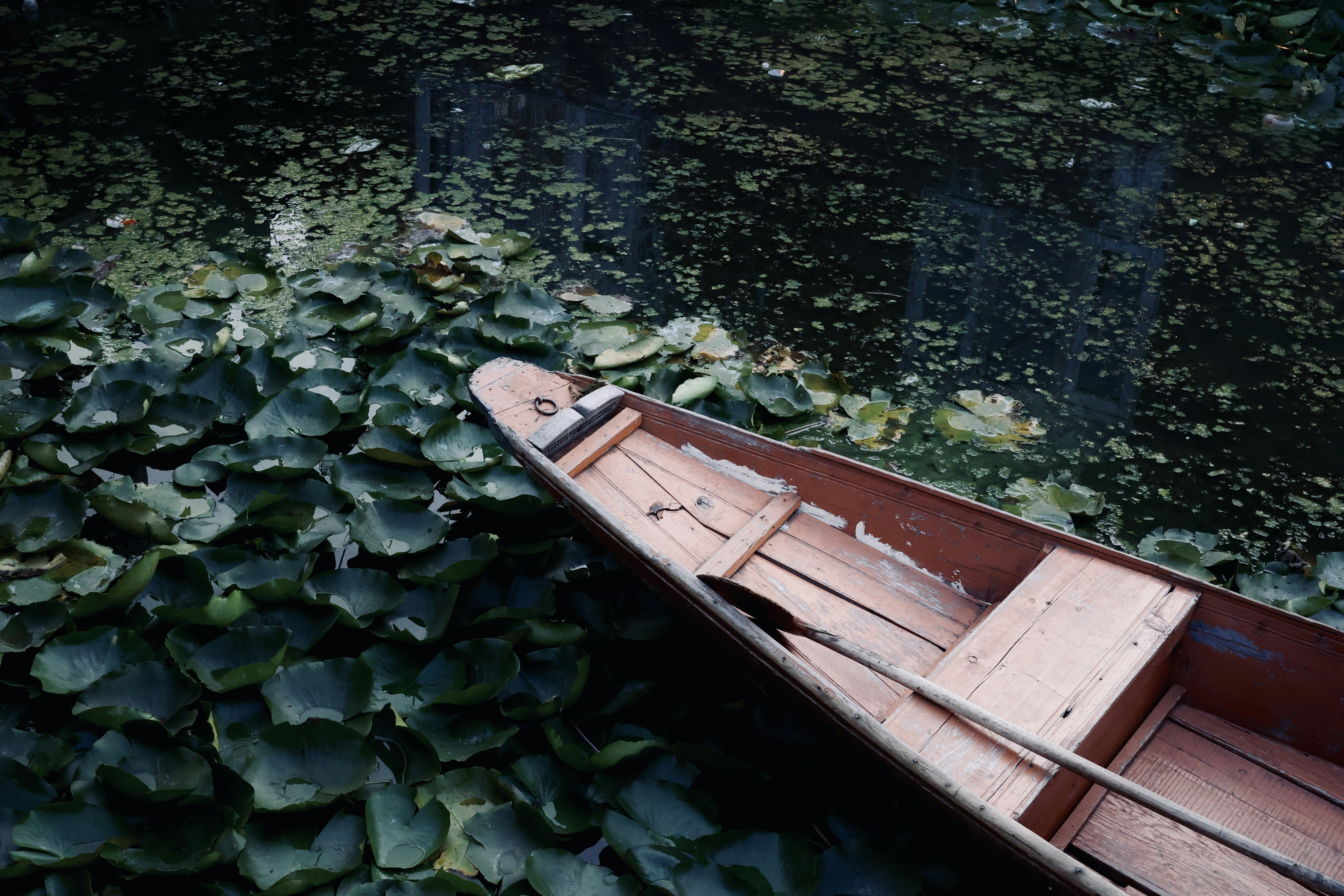 Photo by vatsaltyagi