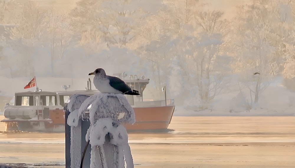 a seagull sitting on top of a pole next to a boat