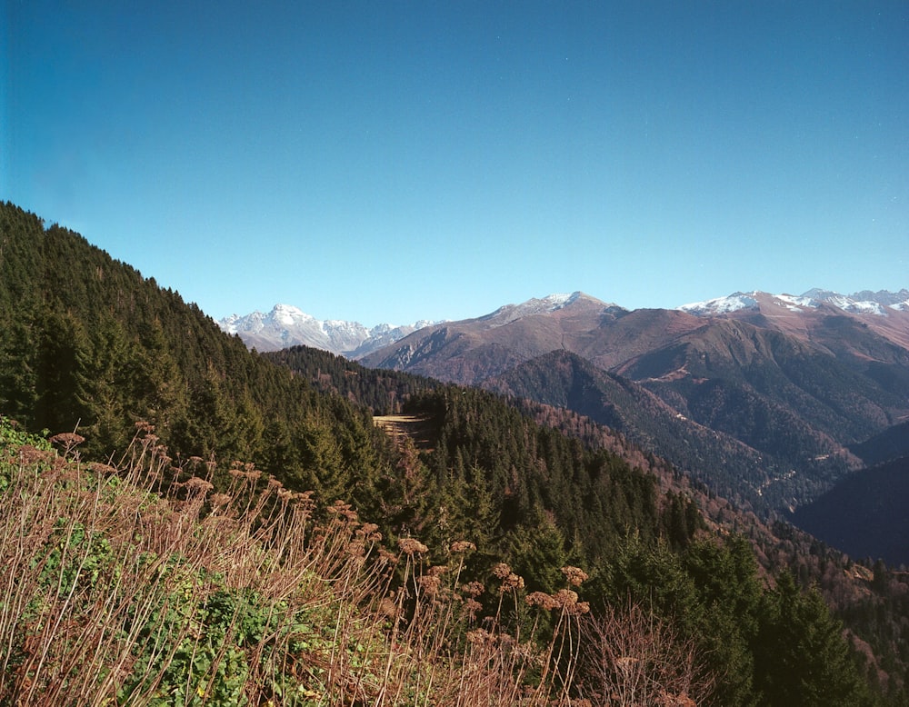 a view of a mountain range with trees and mountains in the background