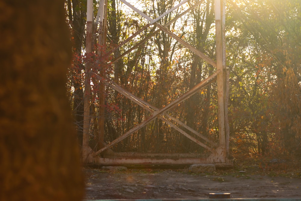 a wooden gate in the middle of a forest