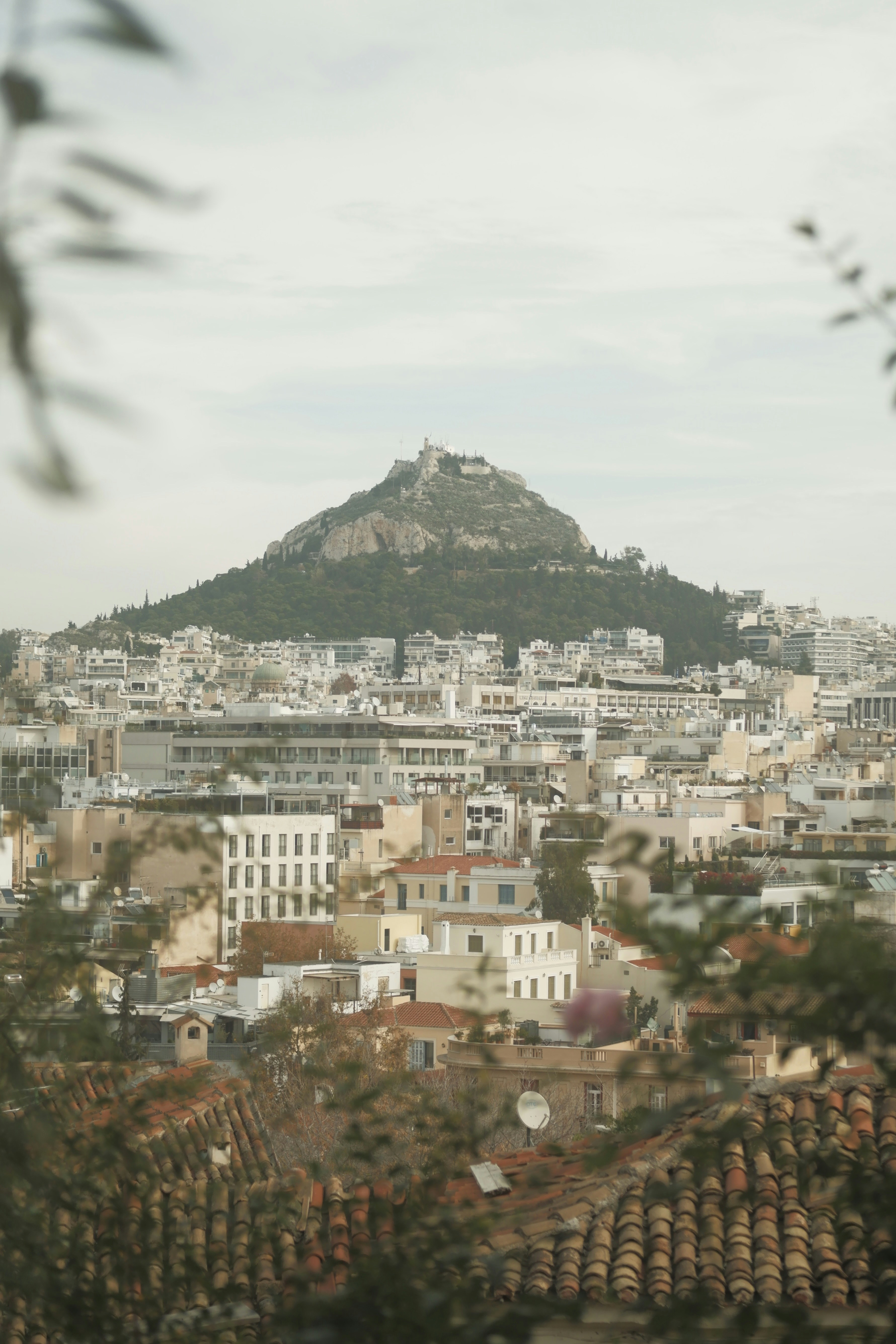 Photo by rohan_gangopadhyay