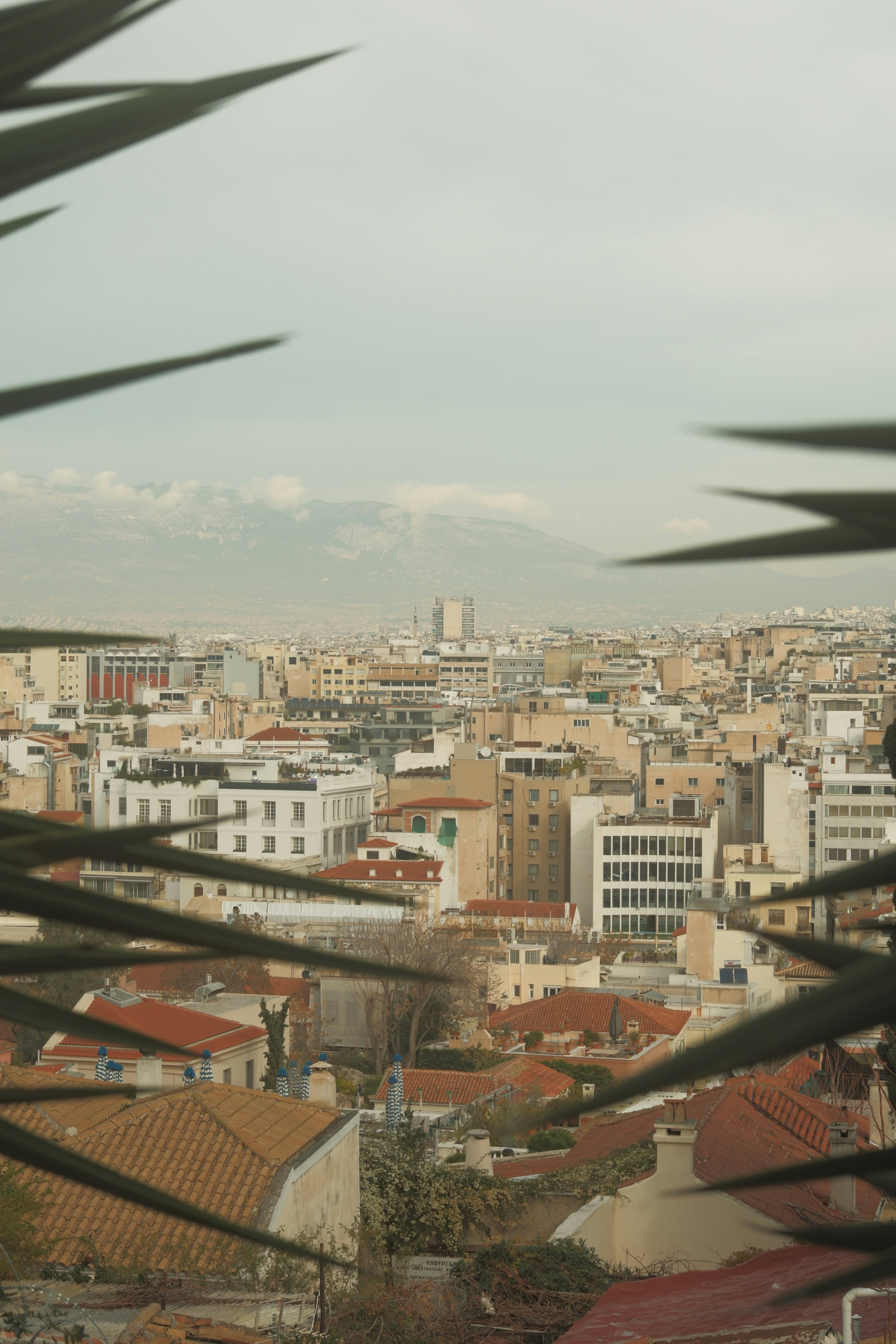 Photo by rohan_gangopadhyay