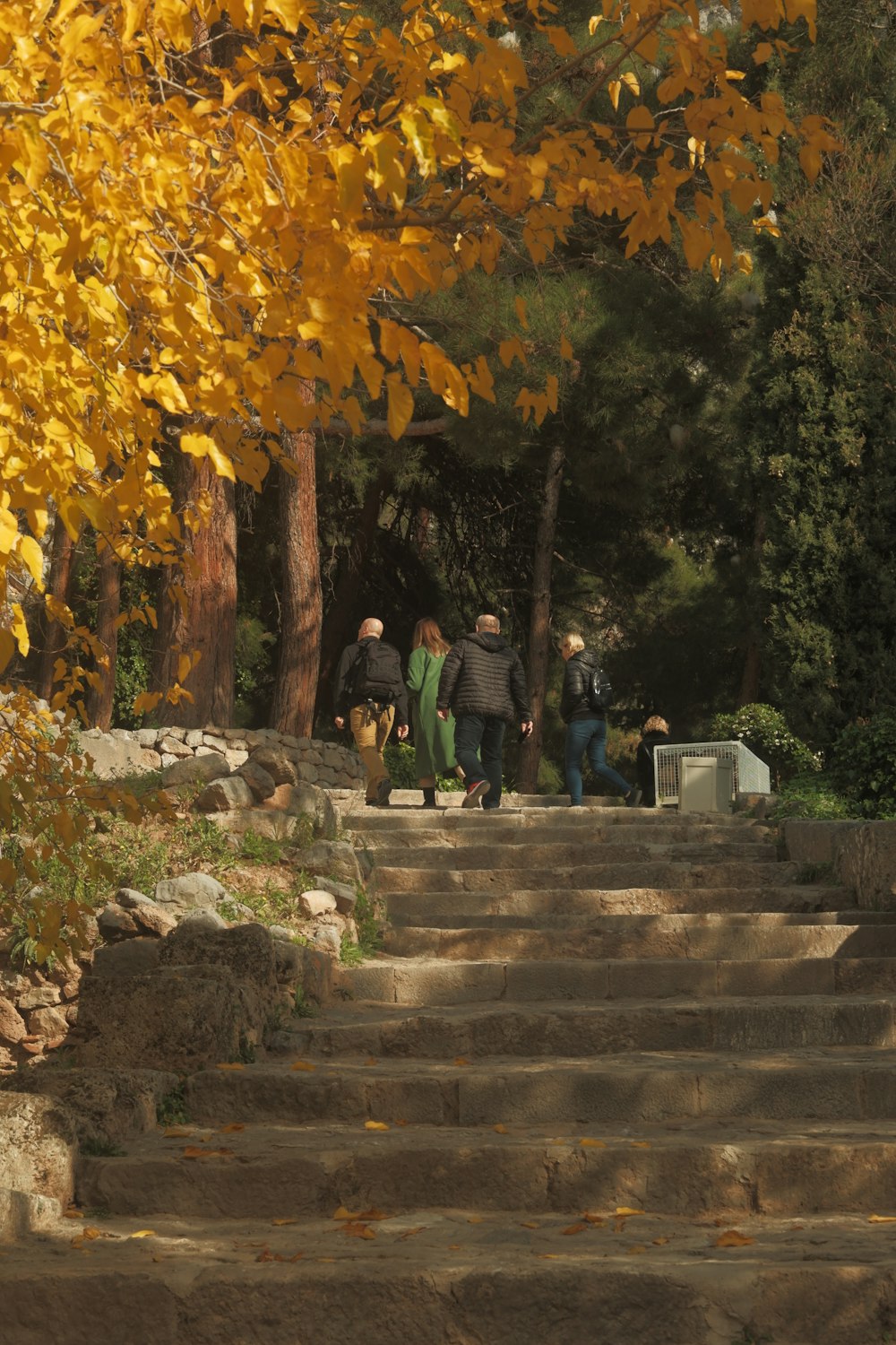 a group of people walking up some steps