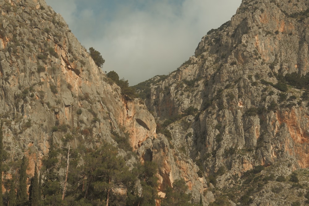 a mountain side with a few trees on the side of it