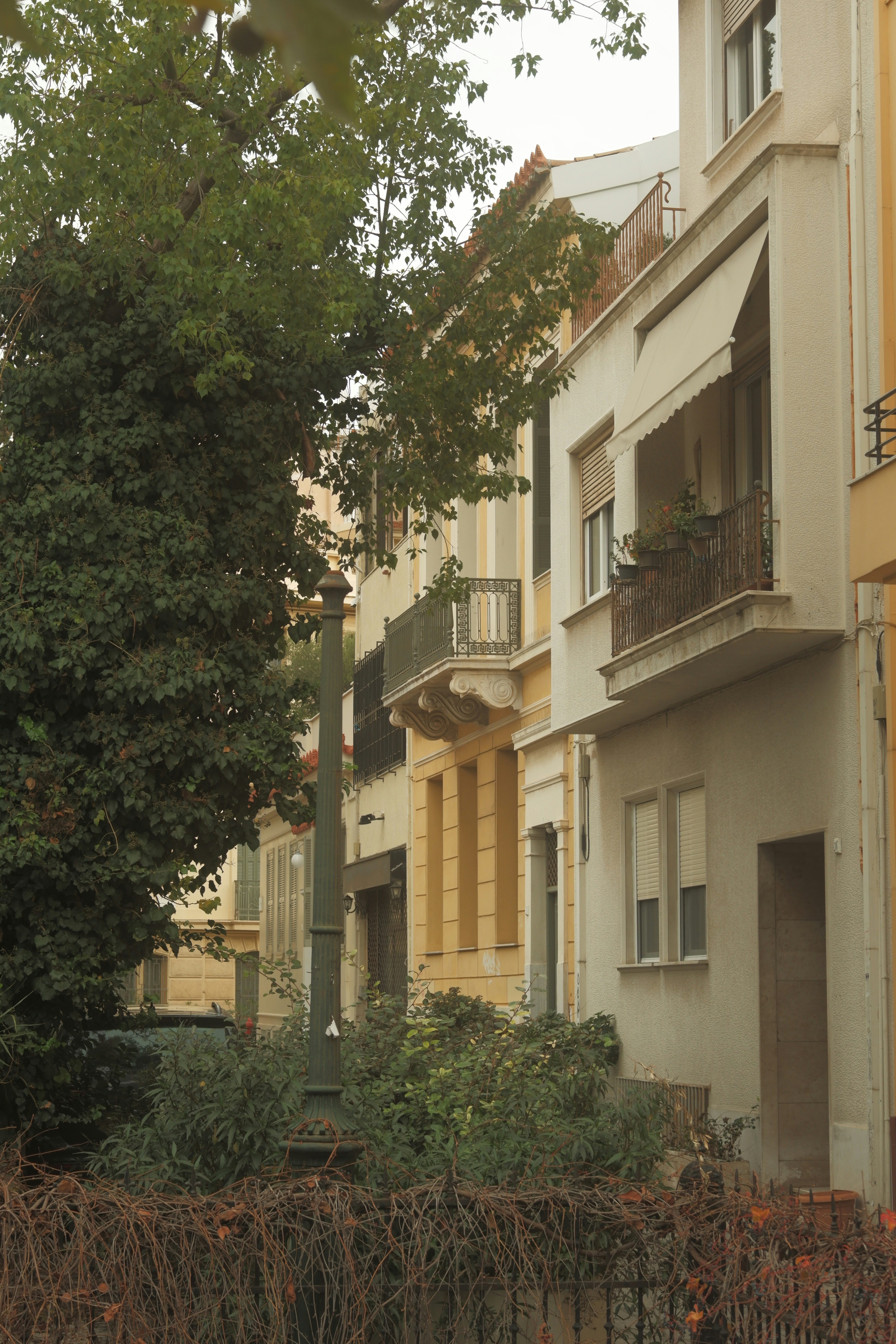 Photo by rohan_gangopadhyay