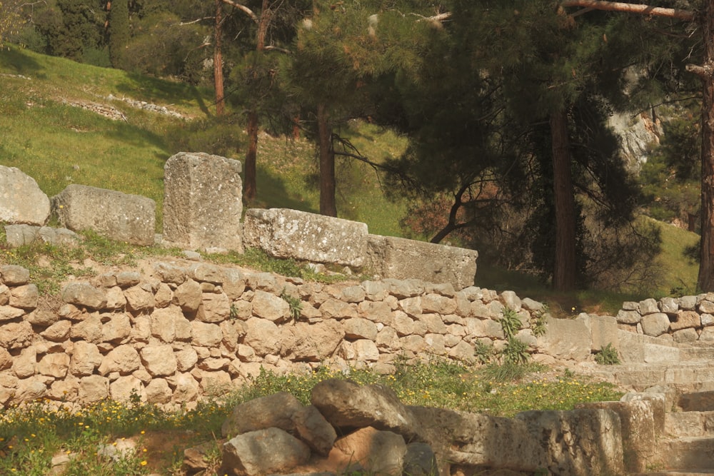 a stone wall next to a forest filled with trees