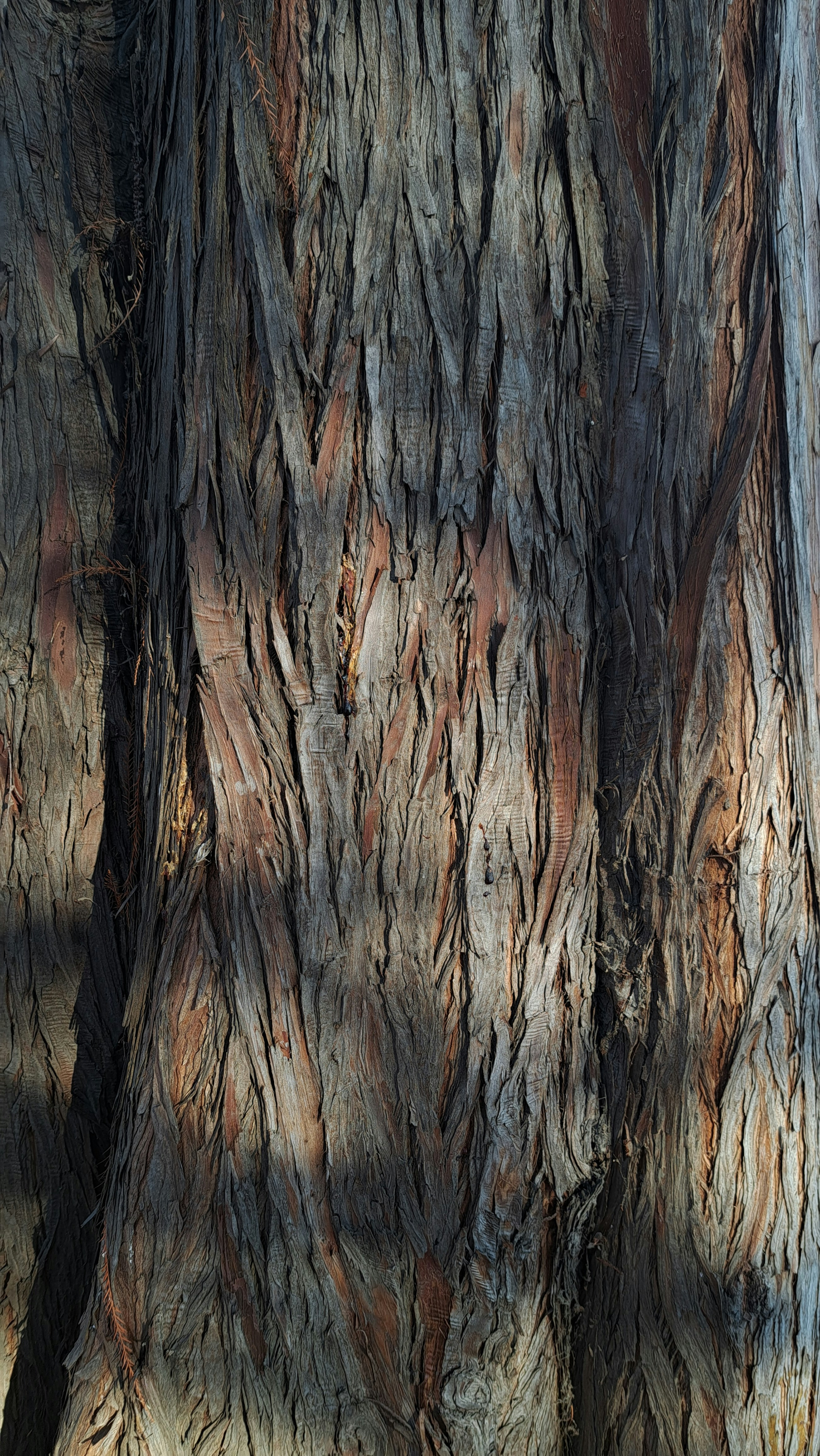 Photo by annemarria__