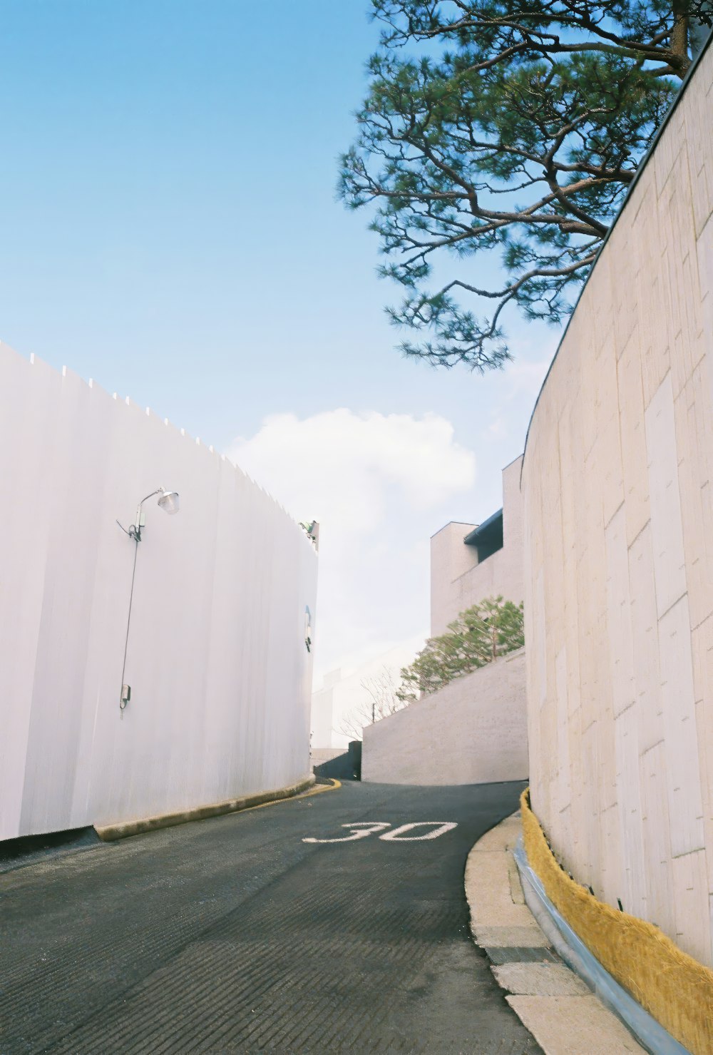 a street with a white wall and a tree