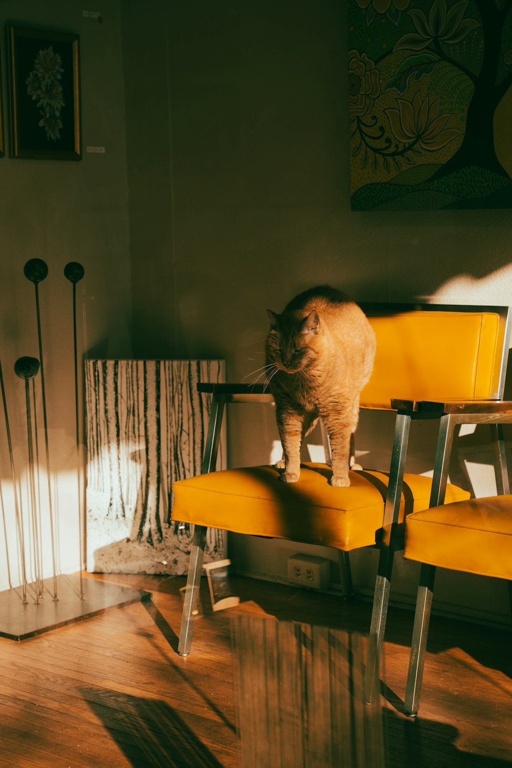 a cat standing on top of a yellow chair