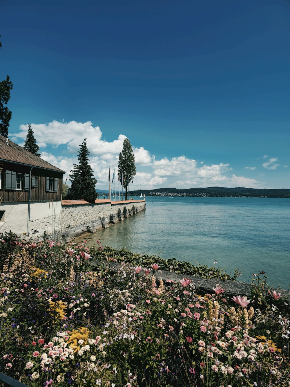 a house on the shore of a lake