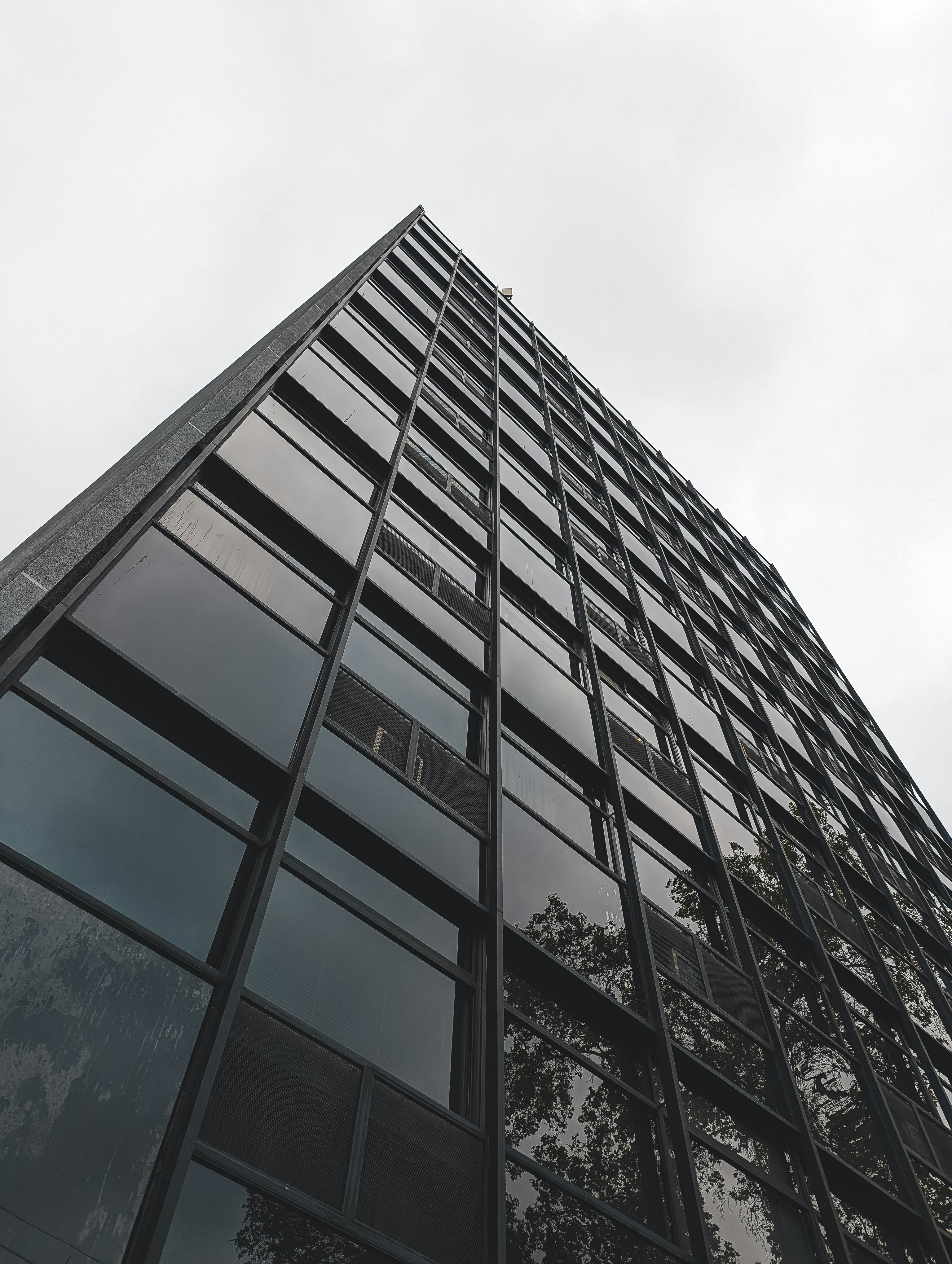 Photo by willianjusten