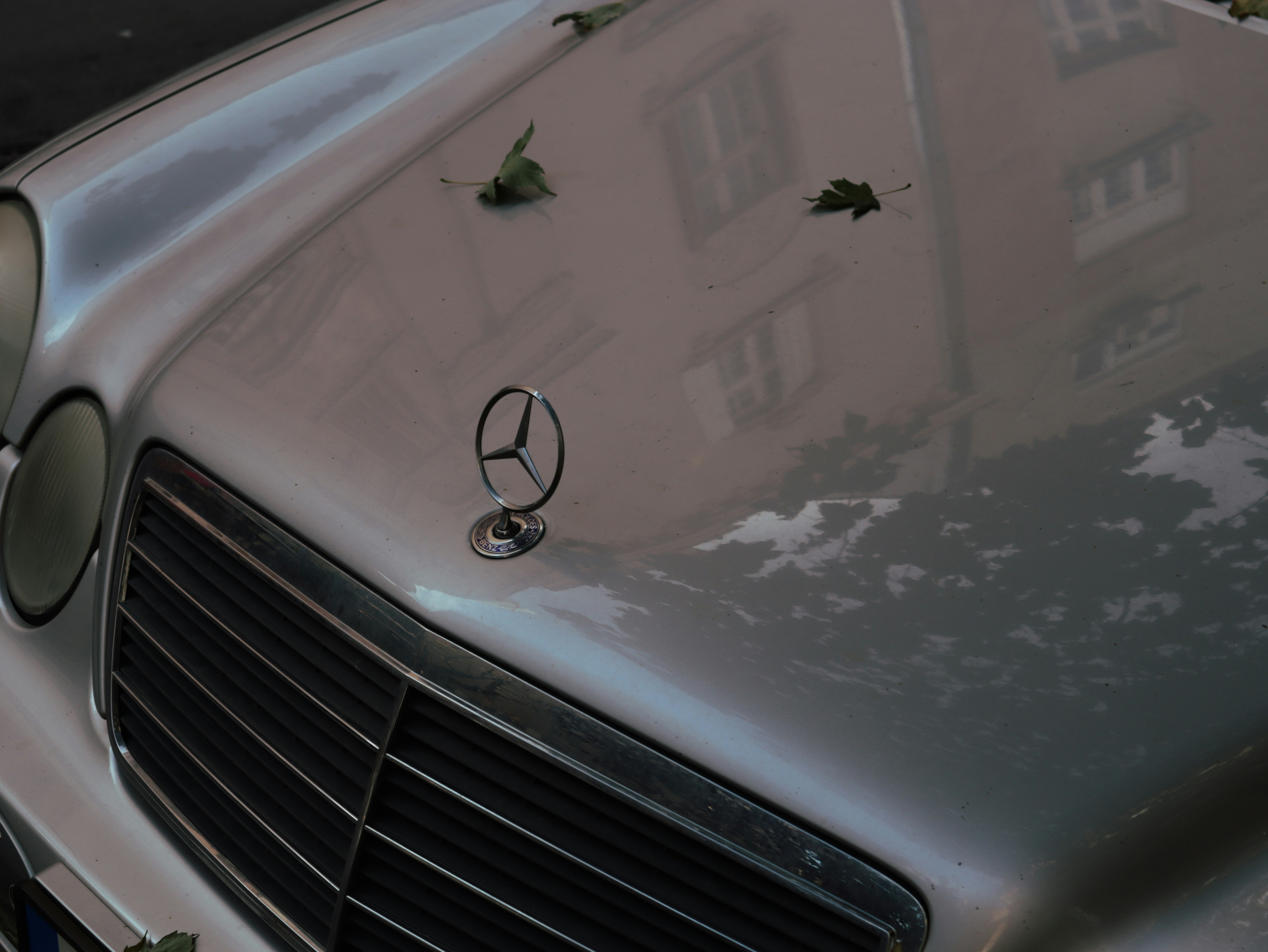 photo-1704929289851-38475817069c?ixid=M3wxMjA3fDB8MXxzZWFyY2h8MTl8fG1lcmNlZGVzJTIwbWluaSUyMHZhbnxlbnwwfHx8fDE3NTg1MjQwNzJ8MA\u0026ixlib=rb-4.1.0